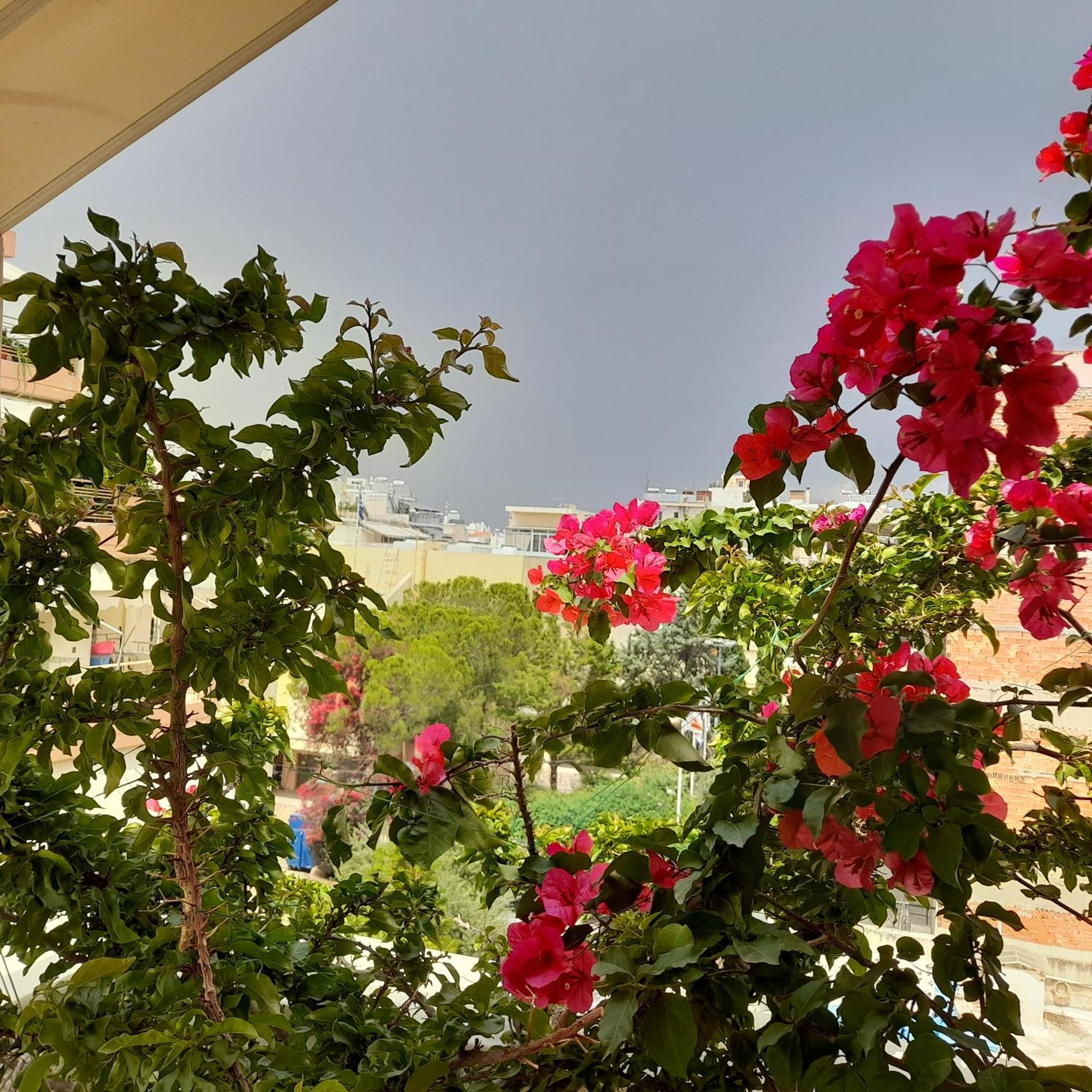 Athens Central Apartment 2 Mins To Metro 외부 사진